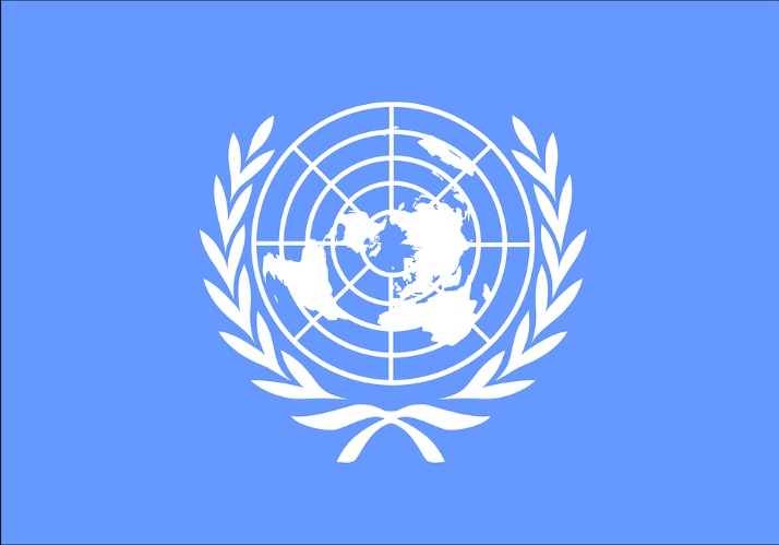 伊朗,万女球迷观,赛创纪录,世界杯半决赛,2026世界杯,赛程安排,球队分析,赛事动态